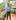 Ajay bose