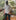 Ajay Bose